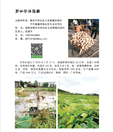 郴州市苏仙区五里牌镇洞尾村宇洋莲藕种植农民专业合作社