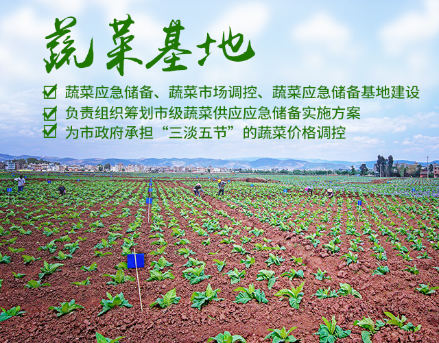 郴州市蔬菜应急储备调控中心_郴州蔬菜储备调控与基地建设