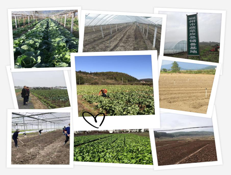 hdpe双壁波纹管,钢带管,mpp电力管厂家,hdpe给水管,增强钢带波纹管