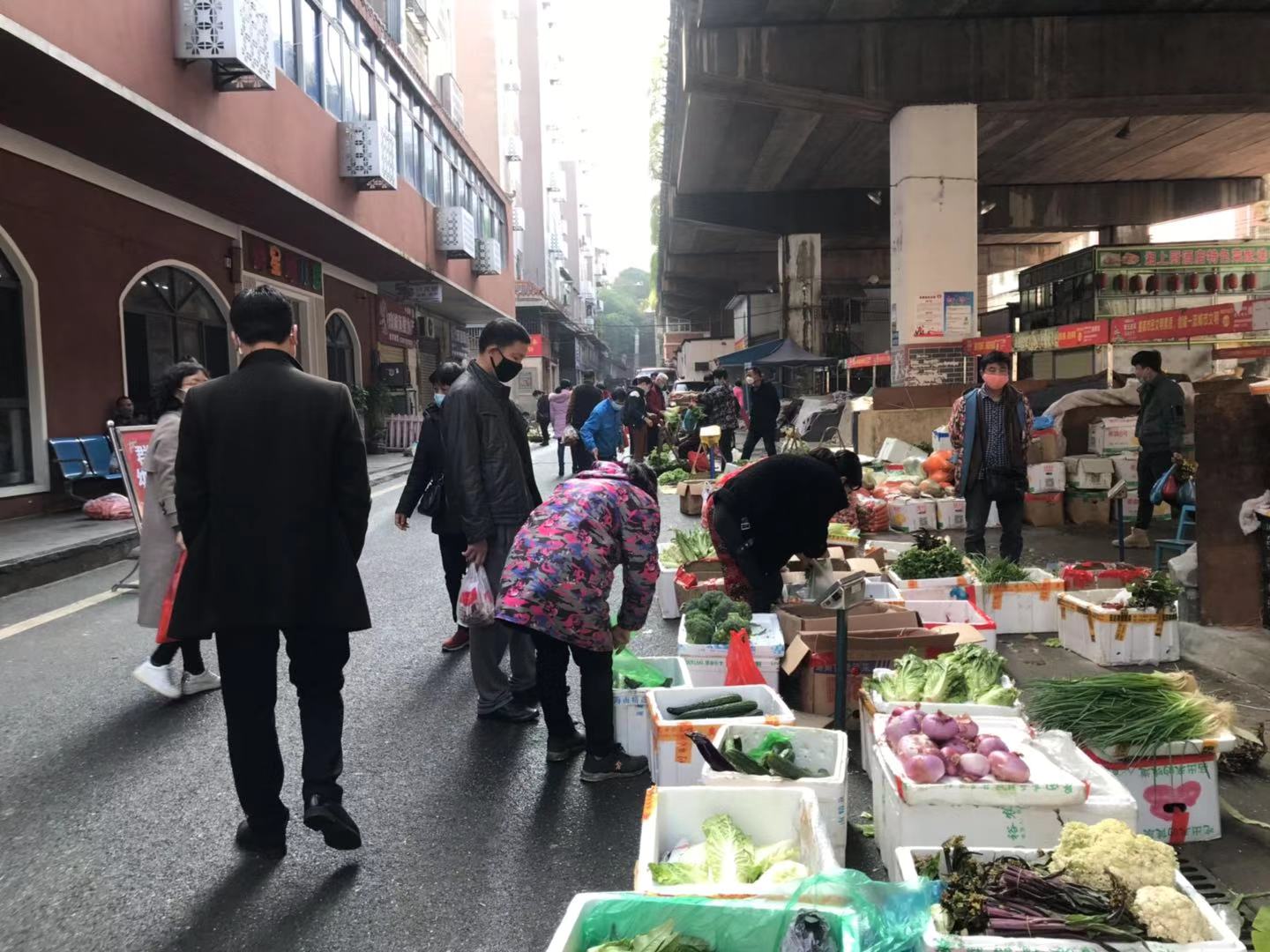 郴州市蔬菜应急储备调控中心,郴州蔬菜储备调控与基地建设