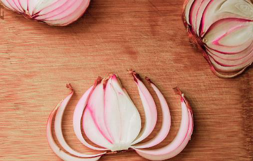 郴州市蔬菜应急储备调控中心,郴州蔬菜储备调控与基地建设