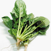 郴州市蔬菜应急储备调控中心,郴州蔬菜储备调控与基地建设