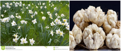 郴州市蔬菜应急储备调控中心,郴州蔬菜储备调控与基地建设