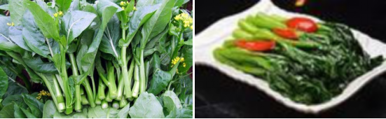 郴州市蔬菜应急储备调控中心,郴州蔬菜储备调控与基地建设