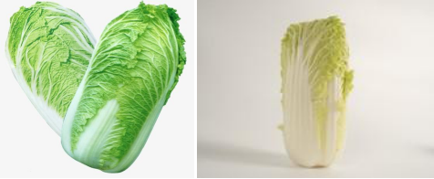 郴州市蔬菜应急储备调控中心,郴州蔬菜储备调控与基地建设