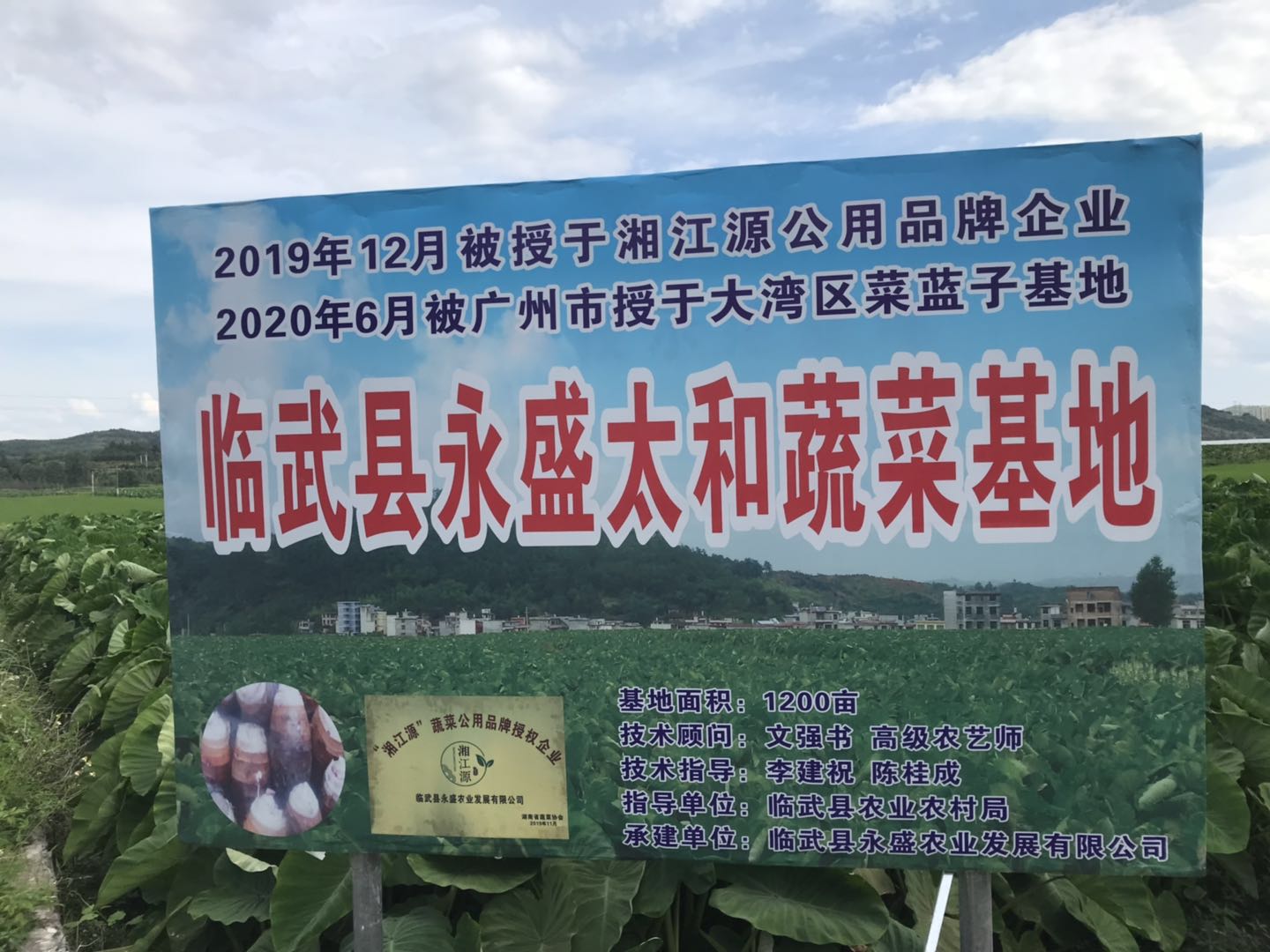 郴州市蔬菜应急储备调控中心,郴州蔬菜储备调控与基地建设