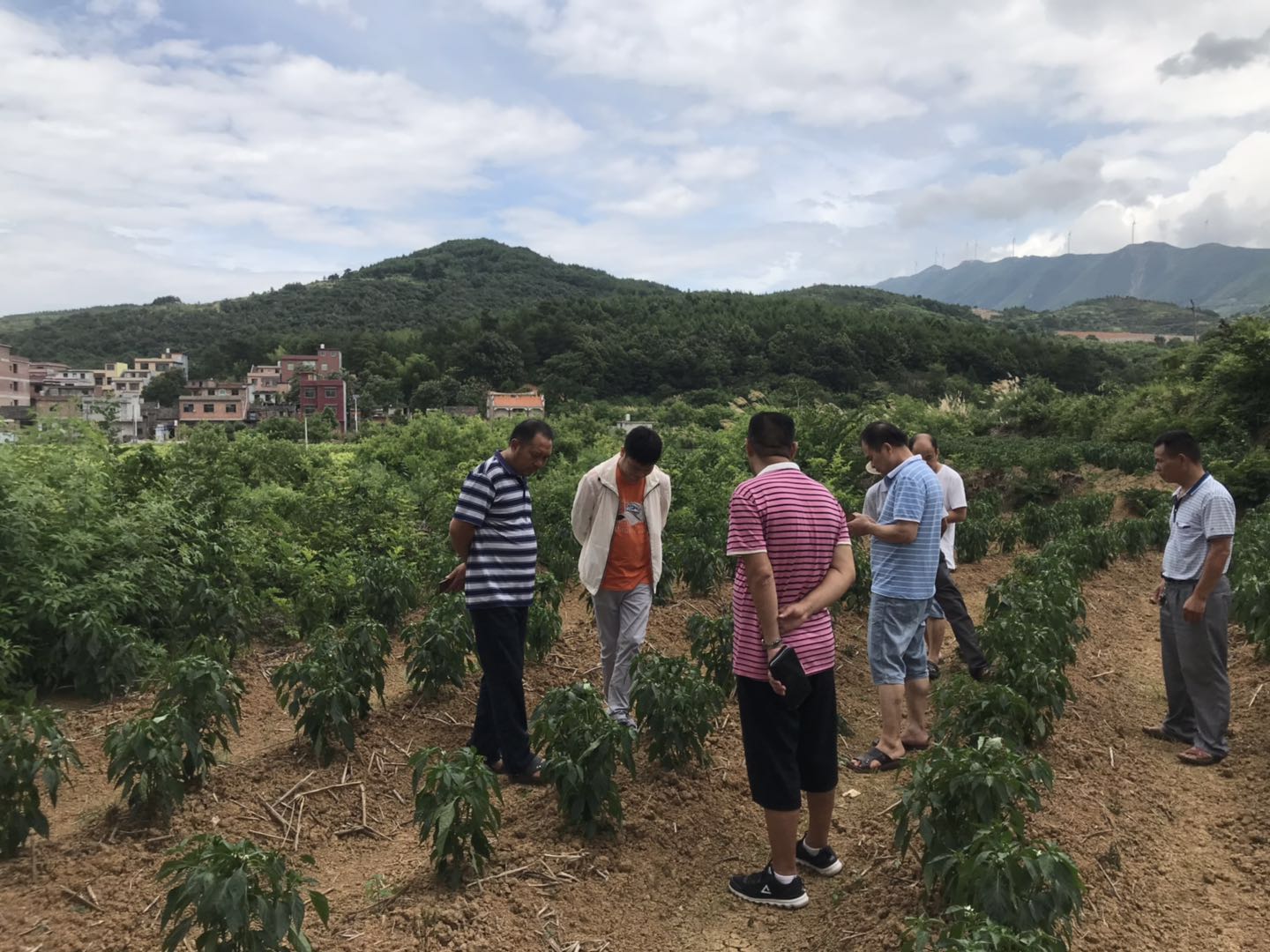 郴州市蔬菜应急储备调控中心,郴州蔬菜储备调控与基地建设