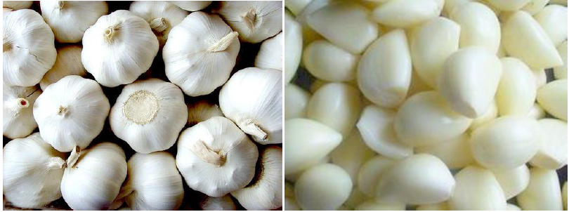 郴州市蔬菜应急储备调控中心,郴州蔬菜储备调控与基地建设