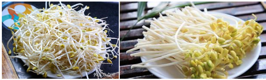 郴州市蔬菜应急储备调控中心,郴州蔬菜储备调控与基地建设