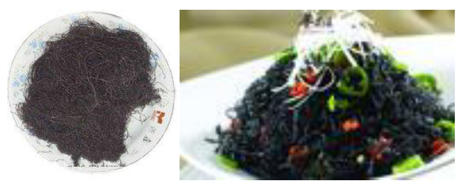 郴州市蔬菜应急储备调控中心,郴州蔬菜储备调控与基地建设