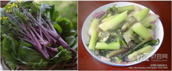 郴州市蔬菜应急储备调控中心,郴州蔬菜储备调控与基地建设