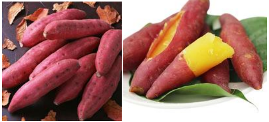 郴州市蔬菜应急储备调控中心,郴州蔬菜储备调控与基地建设