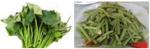 郴州市蔬菜应急储备调控中心,郴州蔬菜储备调控与基地建设