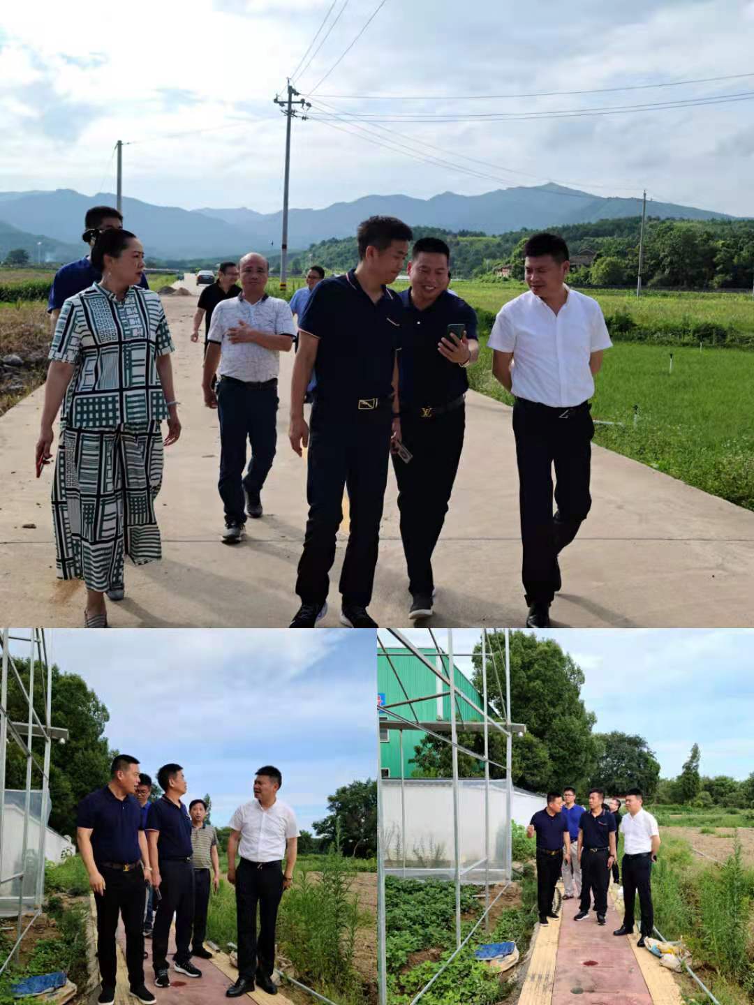 郴州市蔬菜应急储备调控中心,郴州蔬菜储备调控与基地建设