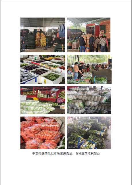 郴州市蔬菜应急储备调控中心,郴州蔬菜储备调控与基地建设